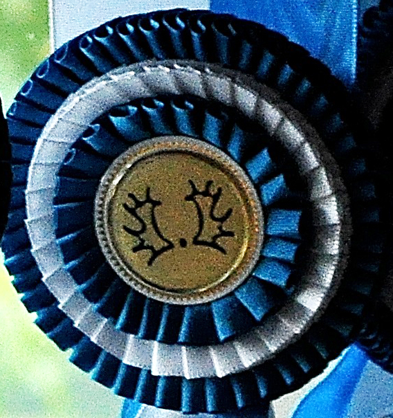 Champ2021-Aufm