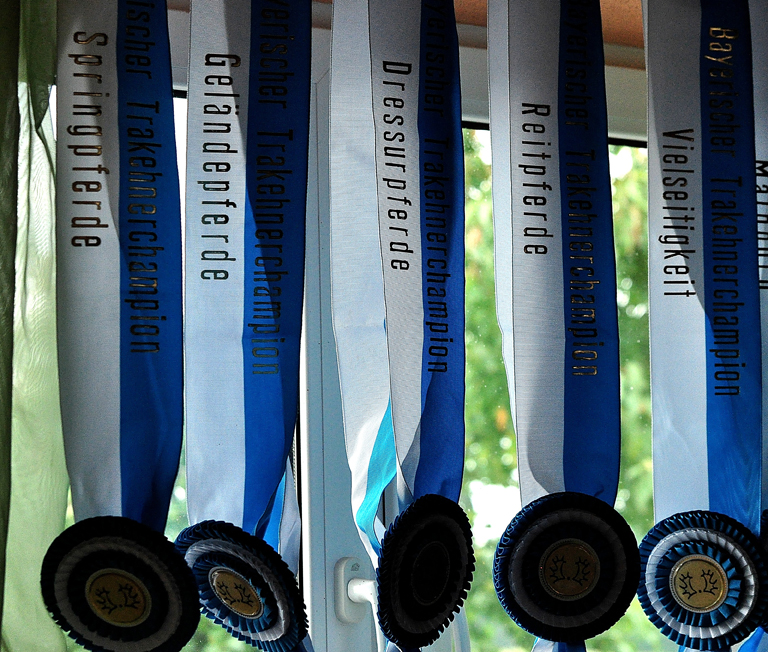 Championats-Schaerpen