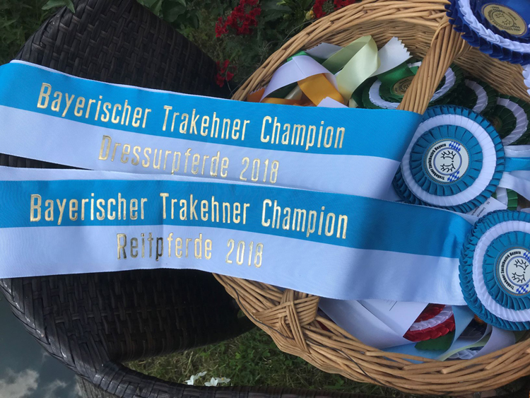 ReitChamp2018-Teaser